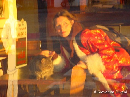 Bretagne 2003