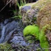 bergbach beim eremo